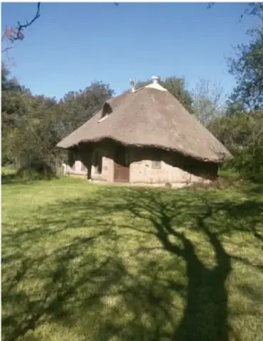 Fotografía de una casa de ecovilla con techo de paja (techumbre natural) rodeada de pasto y árboles, bajo cielo despejado.