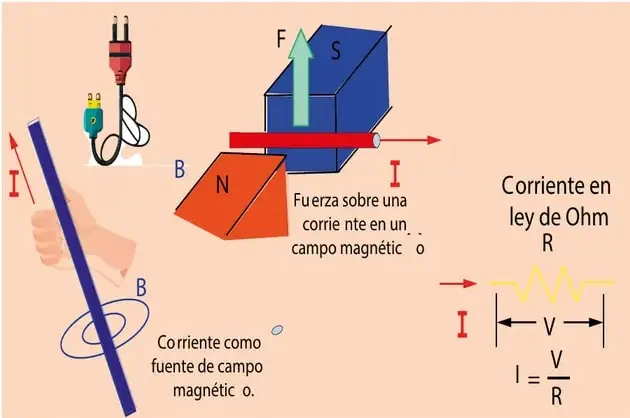 Figura 1 de Fisica 1° · Bgu 1 Fisica 2024 · 2024