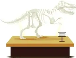 Figura 1 de Lengua Y Literatura 6° · Egb 6 Lengua Y Literatura 2025 · 2025