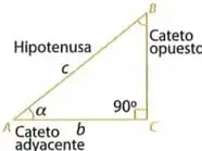 Recuadro de interculturalidad sobre la Ley Orgánica de Educación Intercultural del Ecuador.