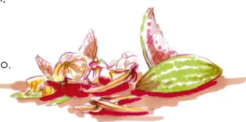 Ilustración de residuos orgánicos vegetales: cáscaras y restos de frutas y verduras.