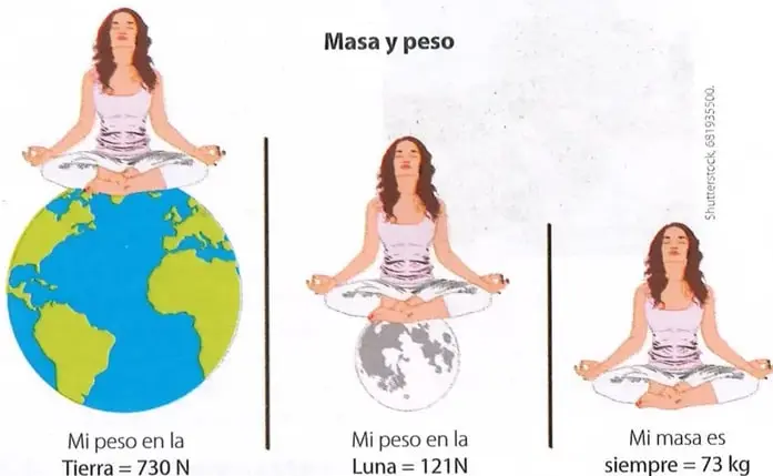 Figura 2 de Ciencias Naturales 9° · 2025