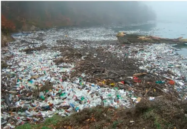 Fotografía de una playa o ribera contaminada con gran cantidad de basura plástica y residuos.