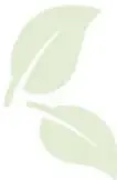Ilustración de hojas verdes que simboliza la sustentabilidad ambiental.