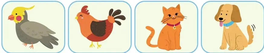 Cuatro recuadros con animales para la actividad de mascotas exóticas: pájaro, gallo, gato, perro.
