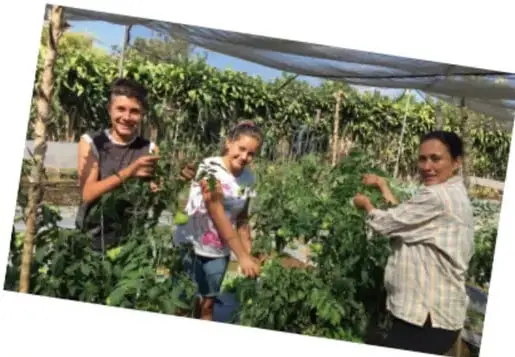 Fotografía de tres personas, dos adultos y una niña, trabajando en un huerto comunitario con plantas y estructuras de cultivo.