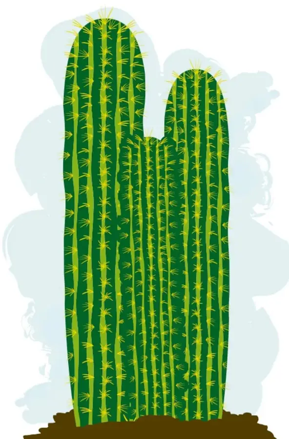 Ilustración de un cactus nopal con pencas redondas verdes punteadas y flores rosa magenta, sobre mancha azul y suelo café.