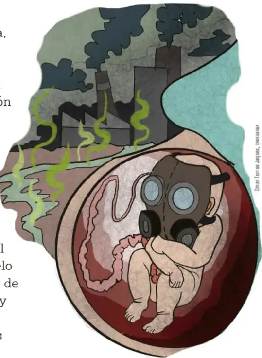 Ilustración de un paisaje con fábricas contaminantes, un río y un bebé con máscara antigás dentro de un útero, simbolizando el daño ambiental y sus efectos en la salud.