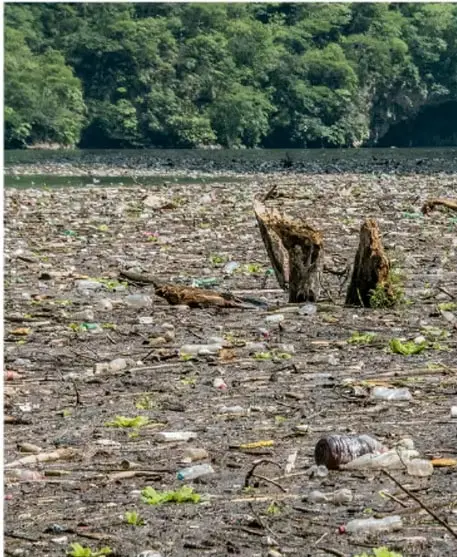 Fotografía de un cuerpo de agua contaminado con residuos plásticos y troncos, rodeado de vegetación. Al fondo se observa una zona boscosa.