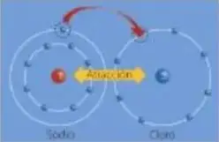 Figura 5 de Ciencias Naturales 5° · Egb 5 Ciencias Naturales 2024 · 2024