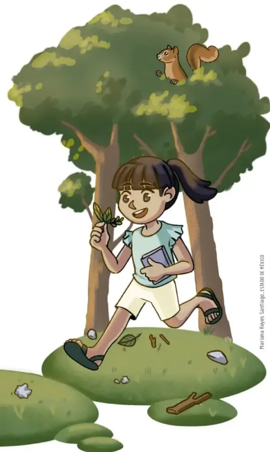 Una niña de vestido verde camina entre árboles con una hoja y un libro en las manos; sobre una rama hay una ardilla y en el suelo pasto, piedritas y una ramita. Ilustración de Mariana Reyes Santiago, Ciudad de México.