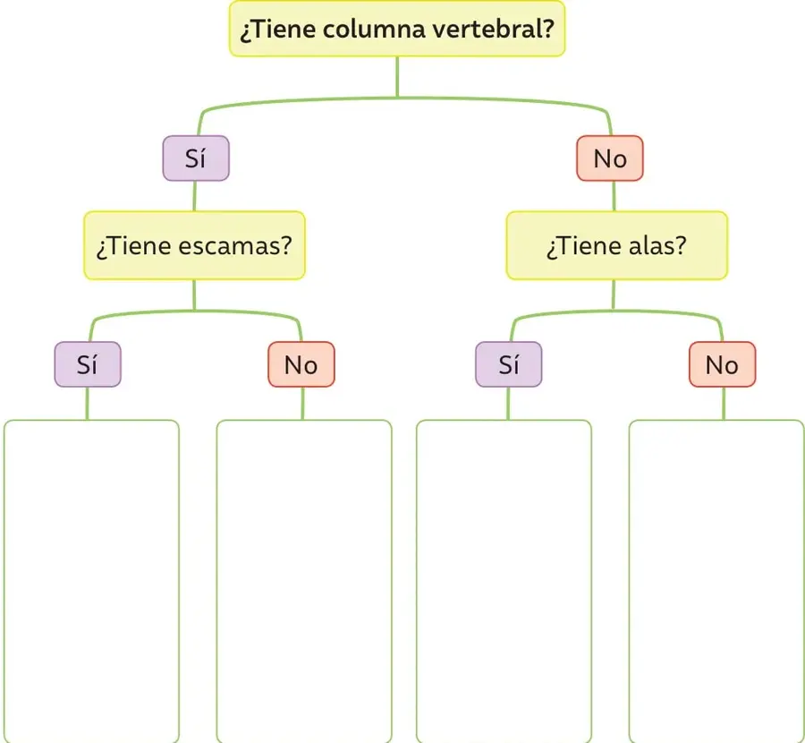 Esquema de clave dicotómica con la pregunta inicial '¿Tiene columna vertebral?', que se abre en Sí y No; la rama Sí lleva a '¿Tiene escamas?' y la rama No a '¿Tiene alas?'. Cada opción final tiene un recuadro en blanco para dibujar el animal.