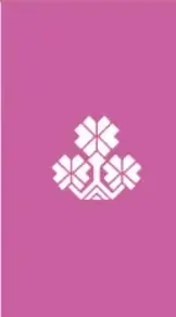 Motivo decorativo geométrico blanco en franja magenta, estilo bordado tradicional.
