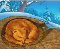 Oso dormido en una madriguera, utilizado como ejemplo de un animal durante la hibernación.