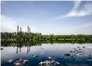 Gran cantidad de peces apilados, ejemplo de explotación directa por sobrepesca.