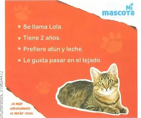 Afiche de ejemplo sobre una gata llamada Lola. Indica que tiene dos años, prefiere atún y leche, y le gusta pasar en el tejado.