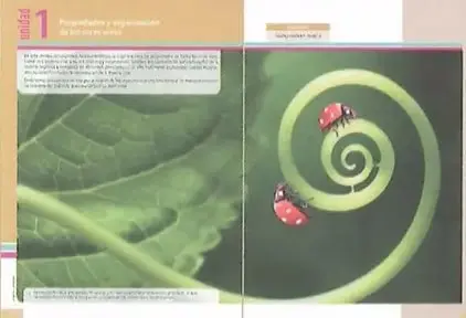 Figura 2 de Ciencias Naturales 8° · Egb 8 Ciencias Naturales 2025 · 2025