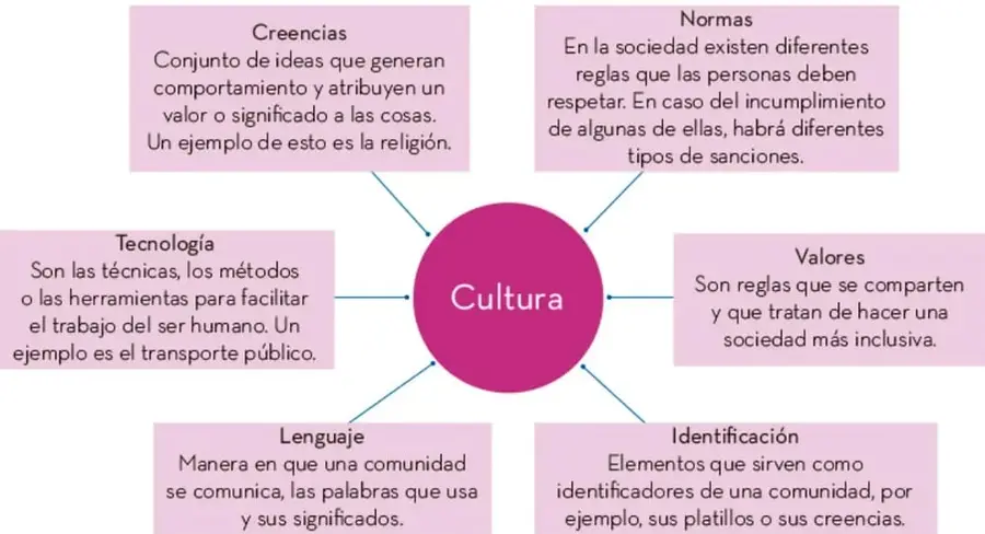 Mapa conceptual radial: un círculo central rosa con la palabra 'Cultura' conectado por flechas a seis recuadros rosas: Creencias, Normas, Valores, Lenguaje, Identificación y Tecnología, cada uno con su definición y ejemplo.