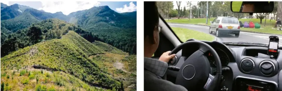 Vista de una colina cubierta de vegetación y bosque, representando el ambiente natural o agrícola.