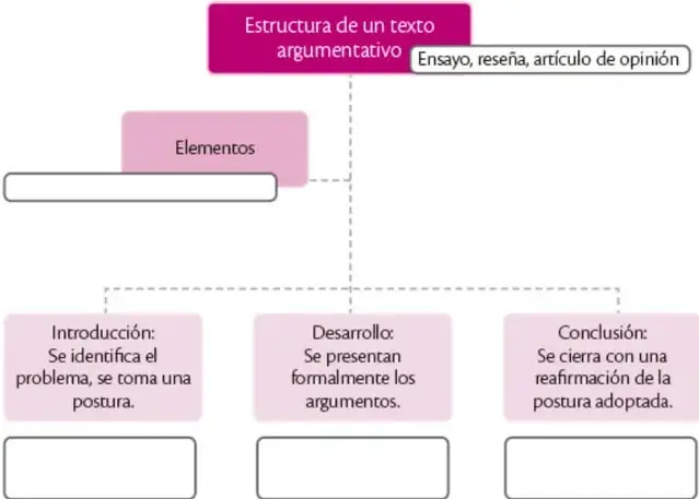 Organizador gráfico "Estructura de un texto argumentativo" con una caja raíz, una rama de Elementos con casilla por completar y tres ramas (Introducción, Desarrollo, Conclusión) con descripción y casilla vacía para llenar.
