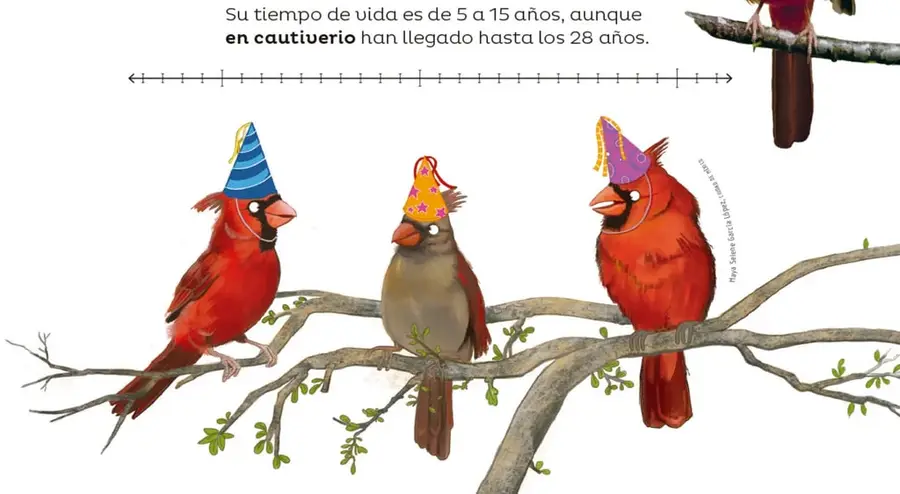 Figura 1 de Múltiples lenguajes. Libro de Educación Preescolar Grado 2° Ciclo Escolar 2025 - 2026