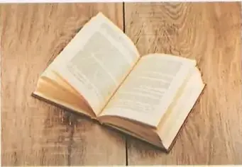 Figura 2 de Lengua Y Literatura 8° · Egb 8 Lengua Y Literatura 2025 · 2025
