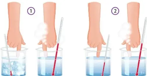 Ilustración de dos manos con dedos sumergidos en recipientes con agua fría y caliente, con termómetros.