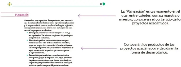 Recuadro 'Planeación' con flechas que explican que la planeación permite conocer el contenido y productos de los proyectos académicos.