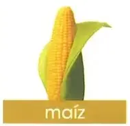 Imágenes rotuladas de maíz, manzanilla, sábila, cactus, acelga, algodón y rosas.
