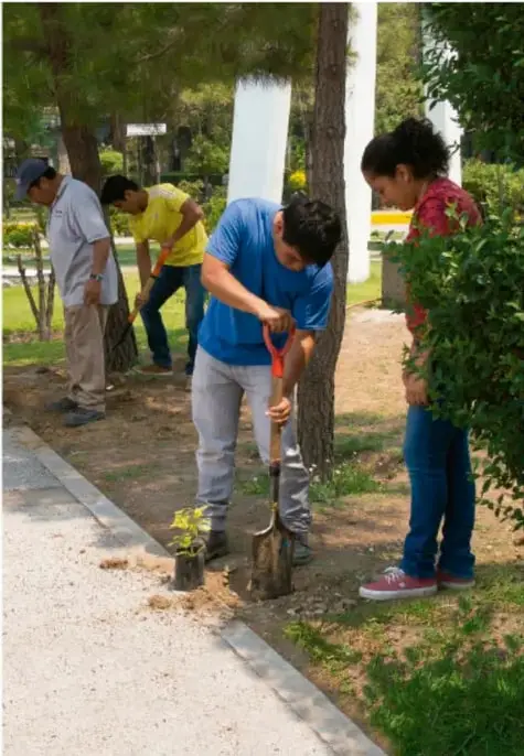 Grupo de jóvenes y personas trabajando en un parque o jardín: uno con pala plantando o trabajando la tierra, otros observando o ayudando; entorno con árboles, arbustos y caminamiento, representando acciones comunitarias de mejora del espacio público.
