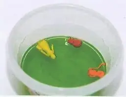 Figura 2 de Ciencias Naturales 9° · 2025
