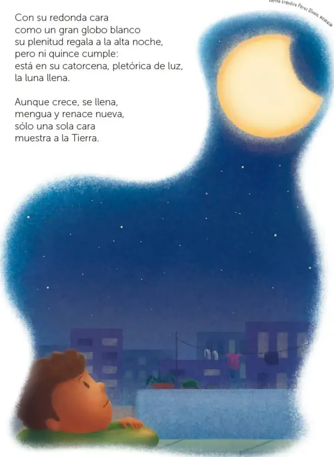 Figura 1 de Múltiples lenguajes. Libro de Educación Primaria Grado 1° Ciclo Escolar 2025 - 2026
