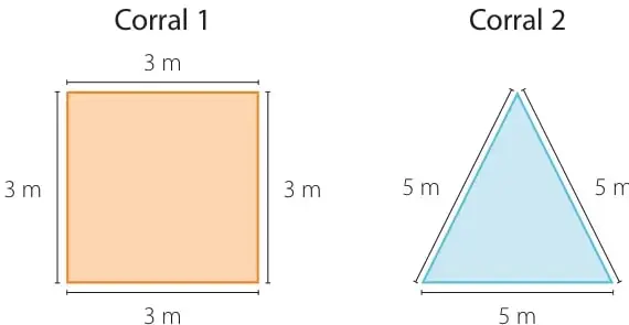 Dos dibujos de corrales: Corral 1 con forma de cuadrado de 3 m de lado y Corral 2 con forma de triángulo equilátero de 5 m de lado.