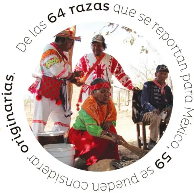 Fotografía circular: personas wixárikas (huicholes) con ropa tradicional bordada en colores, una mujer preparando alimentos en el suelo con ollas metálicas, en un patio rural.