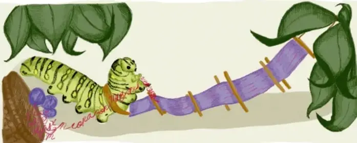 Ilustración de una oruga verde sobre una tela morada con hojas verdes, acompañada de la firma 'Mónica Mendoza Cruz. CIUDAD DE MÉXICO'.