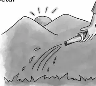 Ilustración de una persona regando el pasto con una manguera, bajo el sol.