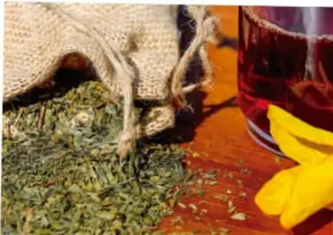 Fotografía de un mortero con hierbas medicinales secas, un frasco de vidrio con líquido rojizo y flores de cempasúchil, que ilustra la preparación de remedios tradicionales.