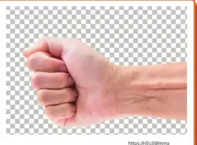 Puño cerrado mostrando la muñeca (WRIST).