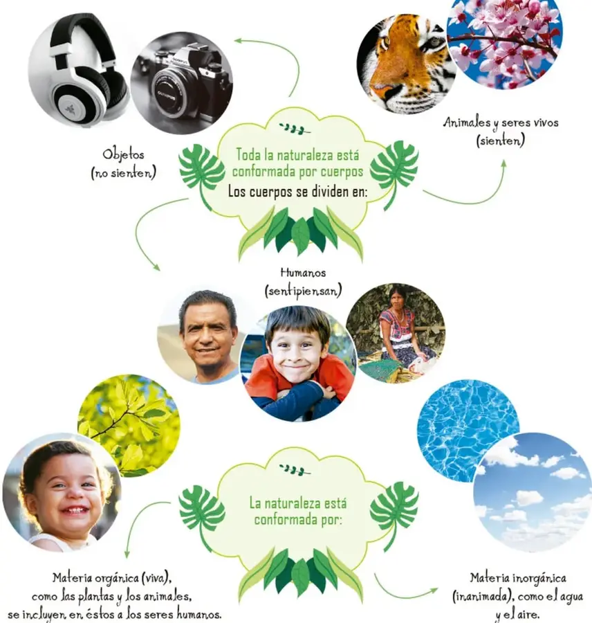 Nube verde con el texto 'Toda la naturaleza está conformada por cuerpos. Los cuerpos se dividen en', con hojas de monstera a los lados y flechas hacia las tres categorías.