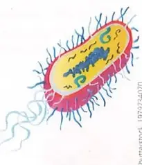 Figura 2 de Ciencias Naturales 9° · 2025