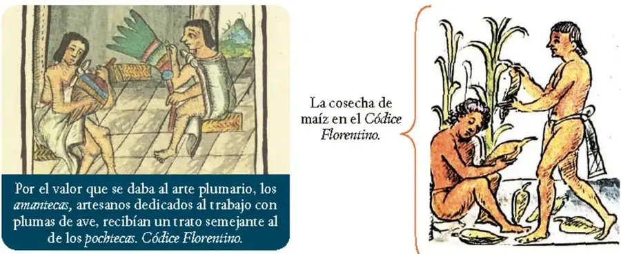 Dos personajes sentados trabajando con plumas de ave, con un texto que explica el valor del arte plumario y el trato a los amantecas.