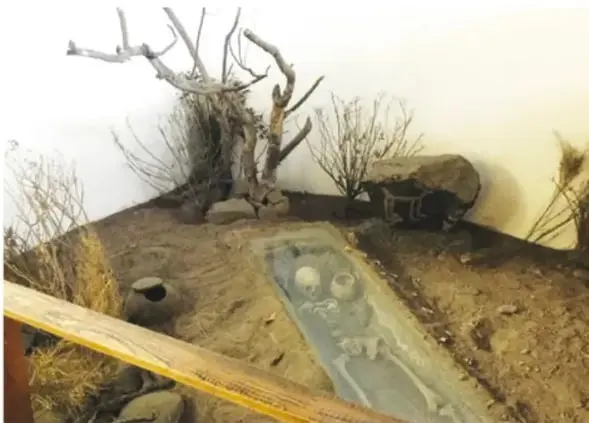 Fotografía de una excavación del cementerio prehispánico de Ónavas: un entierro con huesos y una vasija de cerámica entre tierra y vegetación seca, en una vitrina o recinto de exhibición.