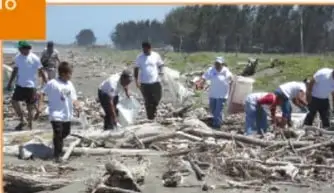 Personas trabajando en un terreno deforestado con troncos y ramas.
