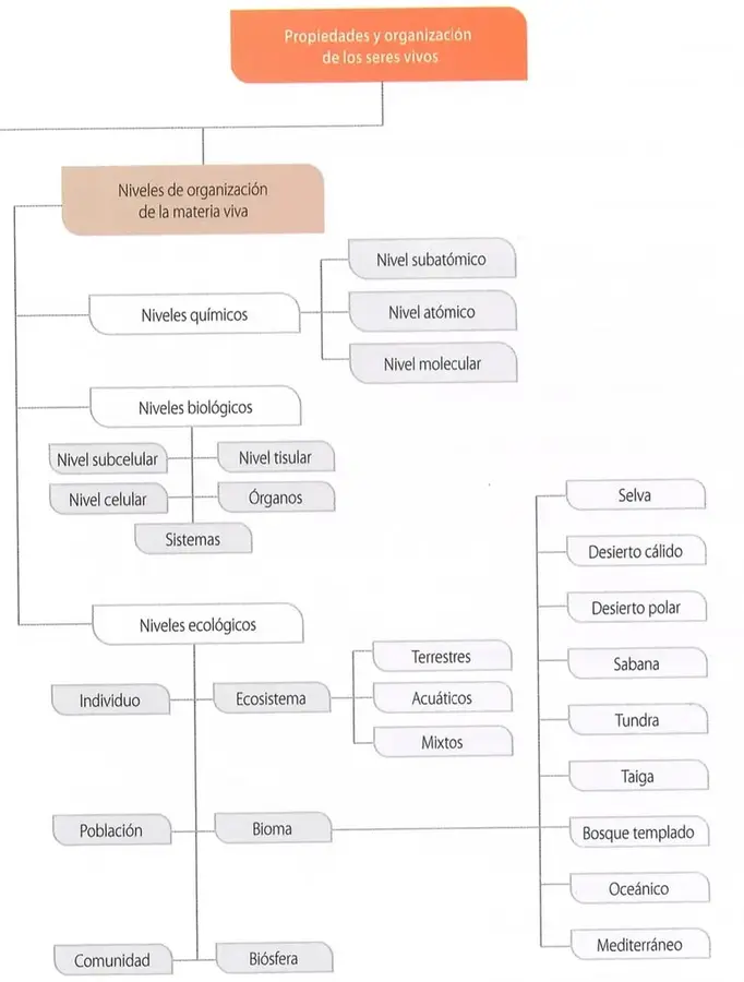 Figura 1 de Ciencias Naturales 8° · Egb 8 Ciencias Naturales 2025 · 2025