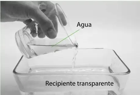 Manos vertiendo agua de una jarra en un recipiente transparente de vidrio. Se rotulan "Agua" y "Recipiente transparente".