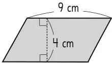 Rombo gris con diagonales 12 cm y 6 cm.