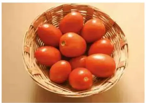 Diez tomates rojos dentro de una canasta de mimbre sobre fondo beige.