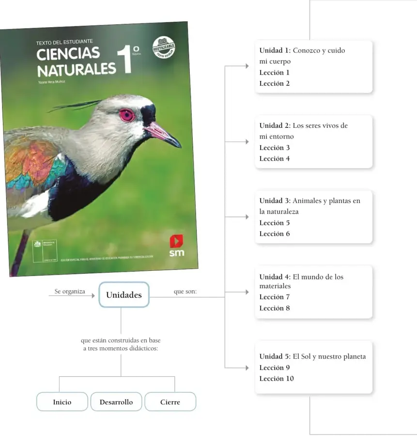 Portada del Texto del Estudiante de Ciencias Naturales 1° Básico, editorial SM, con fotografía de un ave de plumaje gris, negro, azul y café sobre fondo verde; incluye el sello 'Renovable' y la nota de edición especial para el MINEDUC.