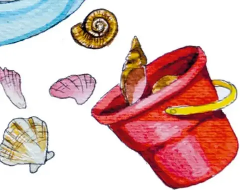 Ilustración de una cubeta roja con conchas de diferentes formas y colores, y una ola azul.
