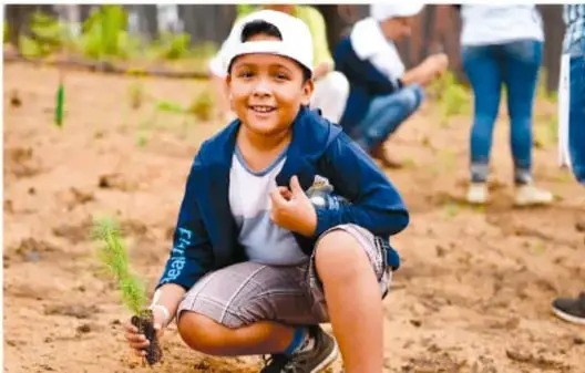 Niño con gorra y playera azul, en cuclillas, sosteniendo una planta pequeña en el suelo; detrás, otras personas participan en una actividad de reforestación.